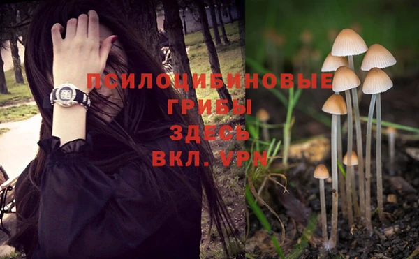 альфа пвп VHQ Белокуриха