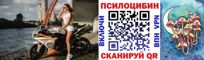 сколько стоит  Краснослободск  Псилоцибиновые грибы прущие грибы 
