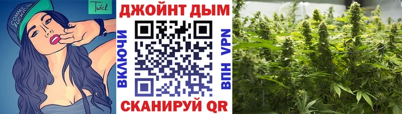 где можно купить   Краснослободск  Бошки Шишки планчик 